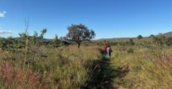 Chácara 8ha – Benfetirória na região do Vale Verde – Alto Paraíso – Chapada dos Veadeiros