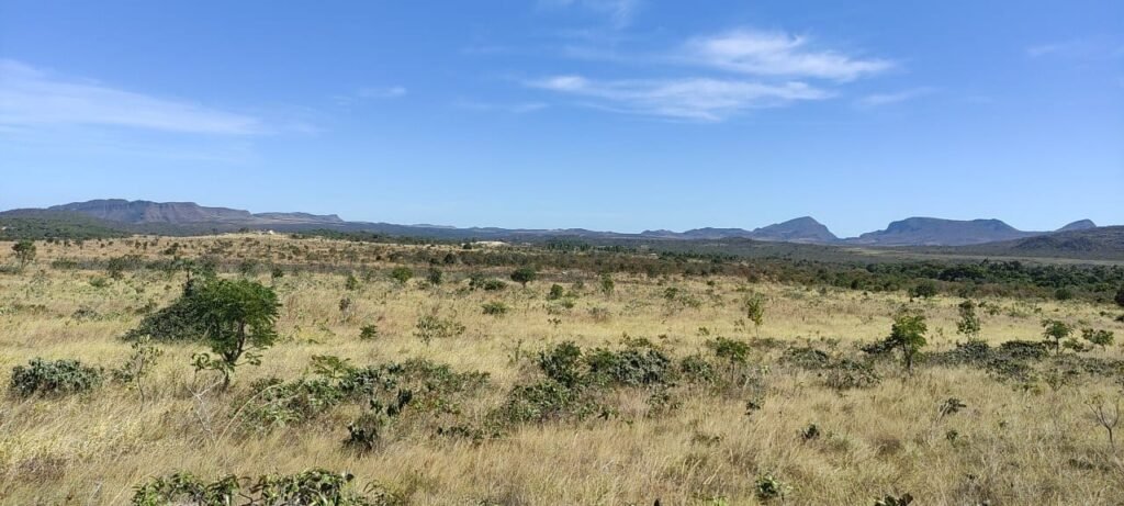 Chácara 5ha – na Fazenda São Bento – entre Alto Paraíso e São Jorge