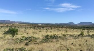 Chácara 5ha – na Fazenda São Bento – entre Alto Paraíso e São Jorge