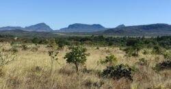 Chácara 5ha – na Fazenda São Bento – entre Alto Paraíso e São Jorge