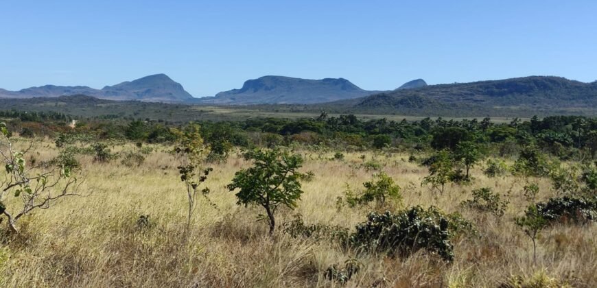 Chácara 5ha – na Fazenda São Bento – entre Alto Paraíso e São Jorge