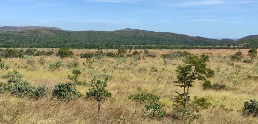Chácara 5ha – na Fazenda São Bento – entre Alto Paraíso e São Jorge