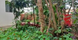4 Kitinetes – Porteira Fechada – Estância Paraíso – Alto Paraíso de Goiás