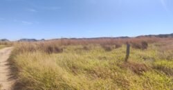Chácara 5ha – na Fazenda São Bento – entre Alto Paraíso e São Jorge