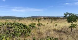 Chácara 5ha – na Fazenda São Bento – entre Alto Paraíso e São Jorge