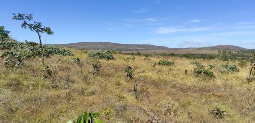 Chácara 5ha – na Fazenda São Bento – entre Alto Paraíso e São Jorge