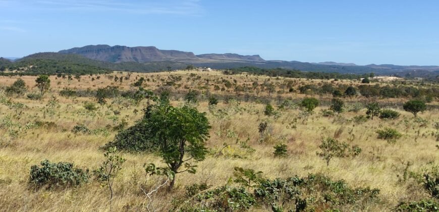 Chácara 5ha – na Fazenda São Bento – entre Alto Paraíso e São Jorge