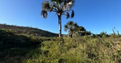Chácara 16.000m2 + Chalé – 5km de Alto Paraíso de Goiás –  Chapada dos Veadeiros