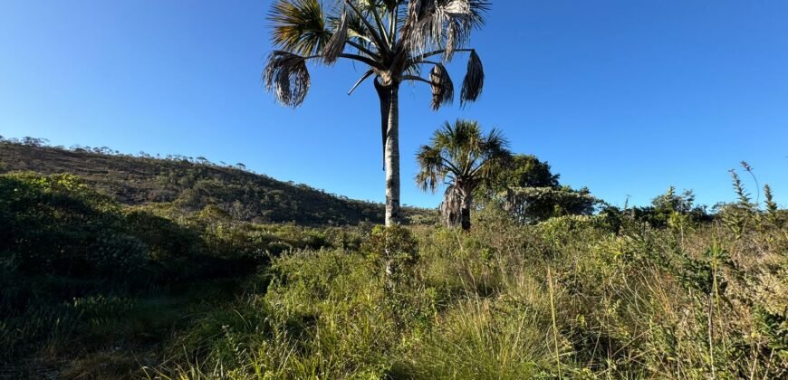 Chácara 16.000m2 + Chalé – 5km de Alto Paraíso de Goiás –  Chapada dos Veadeiros