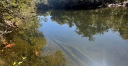 Chácara 4ha – Rio dos Couros – Alto Paraíso e Goiás