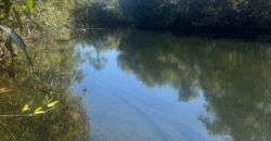 Chácara 4ha – Rio dos Couros – Alto Paraíso e Goiás