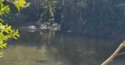 Chácara 4ha – Rio dos Couros – Alto Paraíso e Goiás