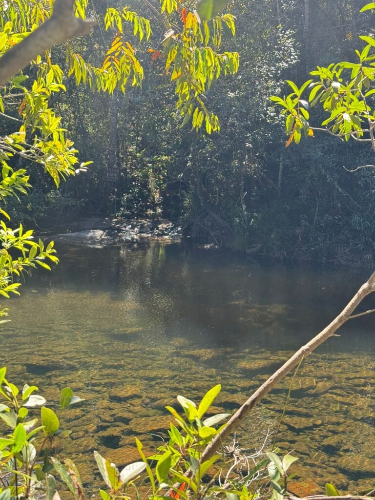 Chácara 4ha – Rio dos Couros – Alto Paraíso e Goiás