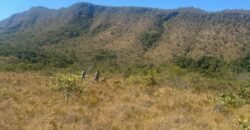 Chácara 4ha – Rio dos Couros – Alto Paraíso e Goiás