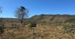 Chácara 4ha – Rio dos Couros – Alto Paraíso e Goiás