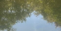 Chácara 4ha – Rio dos Couros – Alto Paraíso e Goiás