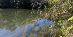 Chácara 4ha – Rio dos Couros – Alto Paraíso e Goiás