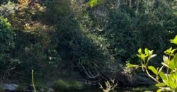 Chácara 4ha – Rio dos Couros – Alto Paraíso e Goiás