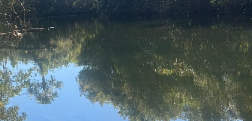 Chácara 4ha – Rio dos Couros – Alto Paraíso e Goiás
