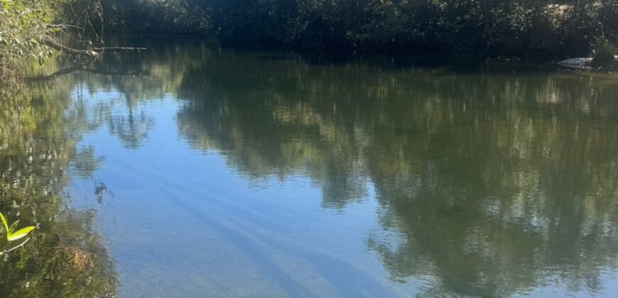 Chácara 4ha – Rio dos Couros – Alto Paraíso e Goiás