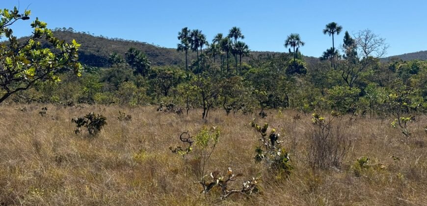 Chácara 4ha – Rio dos Couros – Alto Paraíso e Goiás
