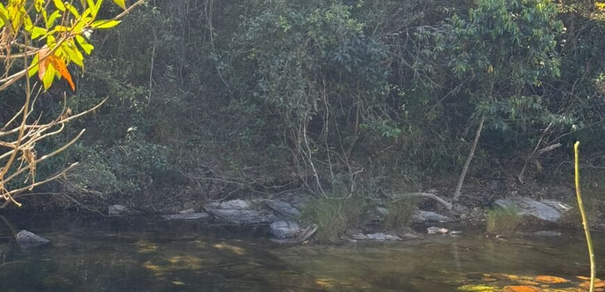 Chácara 4ha – Rio dos Couros – Alto Paraíso e Goiás