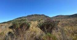 Chácara 4ha – Rio dos Couros – Alto Paraíso e Goiás