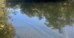 Chácara 4ha – Rio dos Couros – Alto Paraíso e Goiás