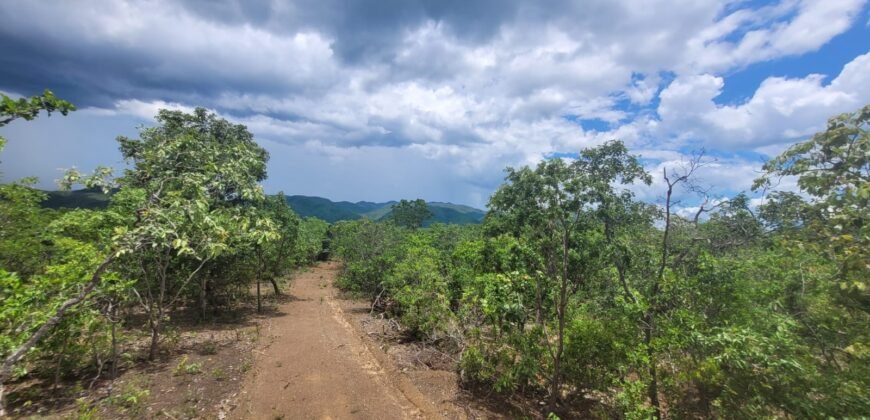 Chácaras a Venda – 37km de Alto Paraíso sentido Sertão – Chapada dos Veadeiros