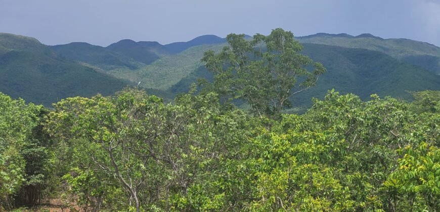 Chácaras a Venda – 37km de Alto Paraíso sentido Sertão – Chapada dos Veadeiros
