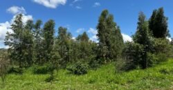 Lote 2.000m2 Condomínio ASHIYANA, Eco Village, 2km sentido Loquinhas – Chapada dos Veadeiros