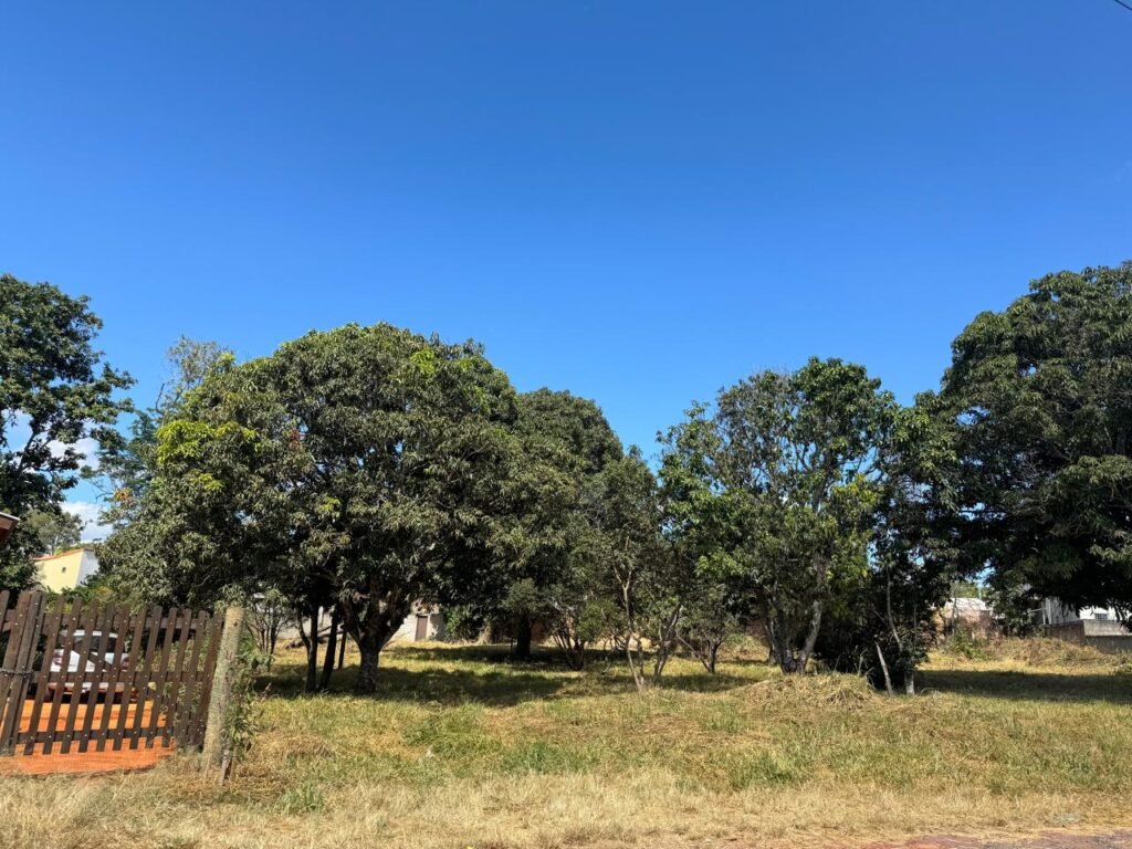 Lote 800m2 – Região Central – Alto Paraíso de Goiás