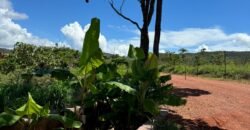 Lote 2.000m2 Condomínio ASHIYANA, Eco Village, 2km sentido Loquinhas – Chapada dos Veadeiros