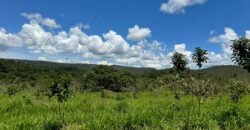 Lote 750m2 Condomínio ASHIYANA, Eco Village, 2km sentido Loquinhas – Chapada dos Veadeiros