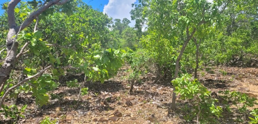 Chácaras a Venda – 37km de Alto Paraíso sentido Sertão – Chapada dos Veadeiros