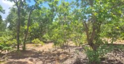 Chácaras a Venda – 37km de Alto Paraíso sentido Sertão – Chapada dos Veadeiros