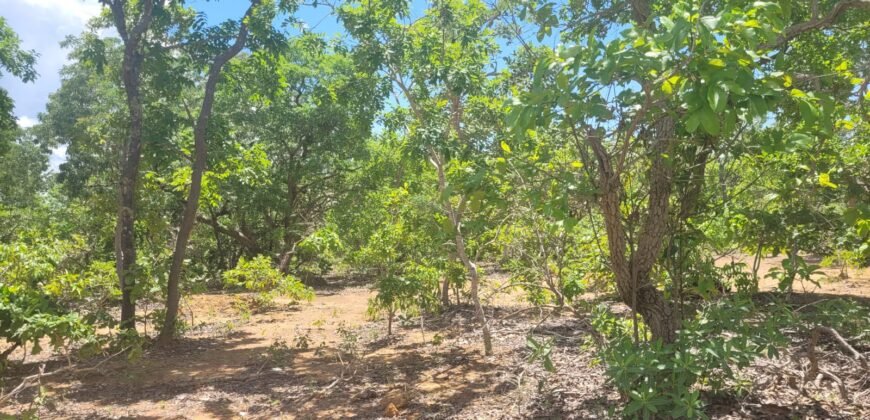 Chácaras a Venda – 37km de Alto Paraíso sentido Sertão – Chapada dos Veadeiros