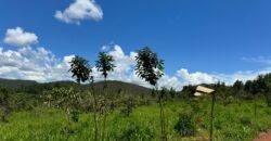 Lote 2.000m2 Condomínio ASHIYANA, Eco Village, 2km sentido Loquinhas – Chapada dos Veadeiros