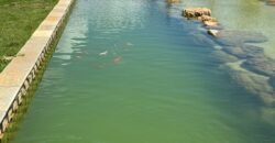 Lote 2.000m2 Condomínio ASHIYANA, Eco Village, 2km sentido Loquinhas – Chapada dos Veadeiros
