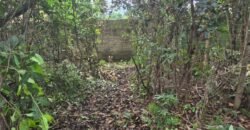 Lote 528.00m2 – Eldorado 1 – Alto Paraíso de Goiás