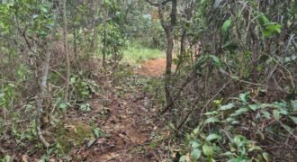 Lote 528.00m2 – Eldorado 1 – Alto Paraíso de Goiás