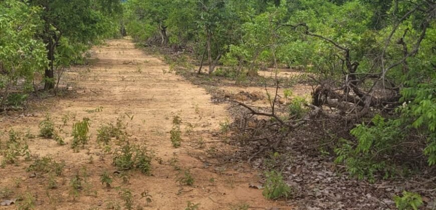 Chácaras a Venda – 37km de Alto Paraíso sentido Sertão – Chapada dos Veadeiros