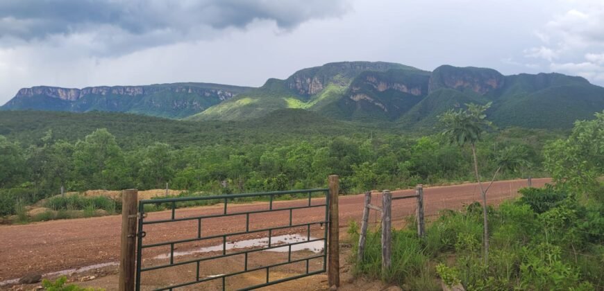 Chácaras a Venda – 37km de Alto Paraíso sentido Sertão – Chapada dos Veadeiros