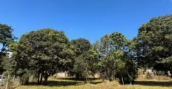 Lote 800m2 – Região Central – Alto Paraíso de Goiás