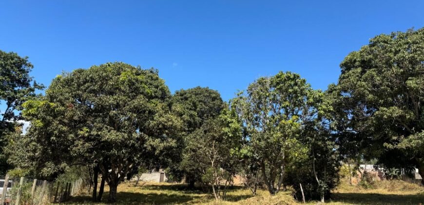 Lote 800m2 – Região Central – Alto Paraíso de Goiás