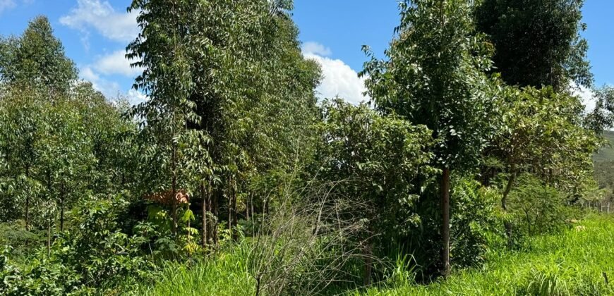 Lote 750m2 Condomínio ASHIYANA, Eco Village, 2km sentido Loquinhas – Chapada dos Veadeiros