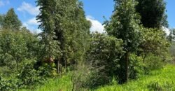Lote 2.000m2 Condomínio ASHIYANA, Eco Village, 2km sentido Loquinhas – Chapada dos Veadeiros