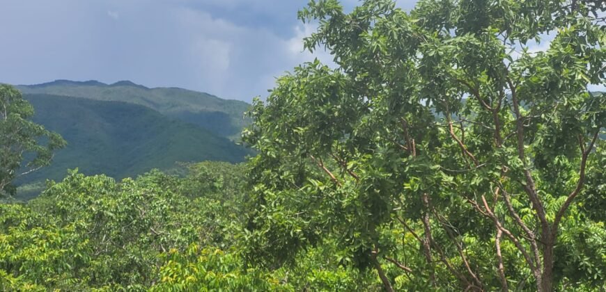 Chácaras a Venda – 37km de Alto Paraíso sentido Sertão – Chapada dos Veadeiros