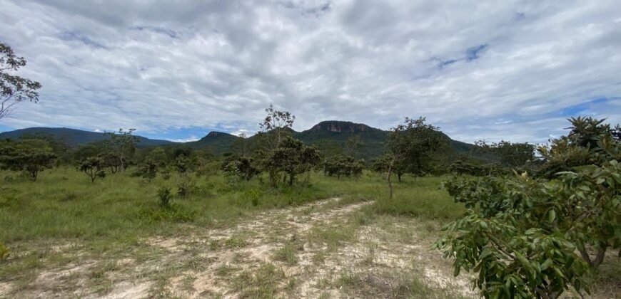Chácara de 4 ha – Antiga Fazenda Canadá – Com Acesso a Cachoeira São Bartolomeu – Cavalcante de Goiás
