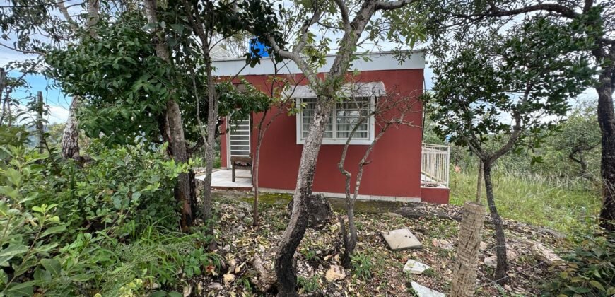 Casa em São Jorge – Sentido Mirante Lambuze